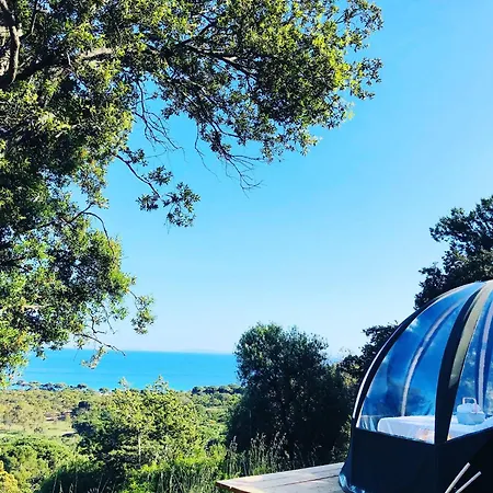 Luxury tent Palom'bolla Porto-Vecchio (Corsica)